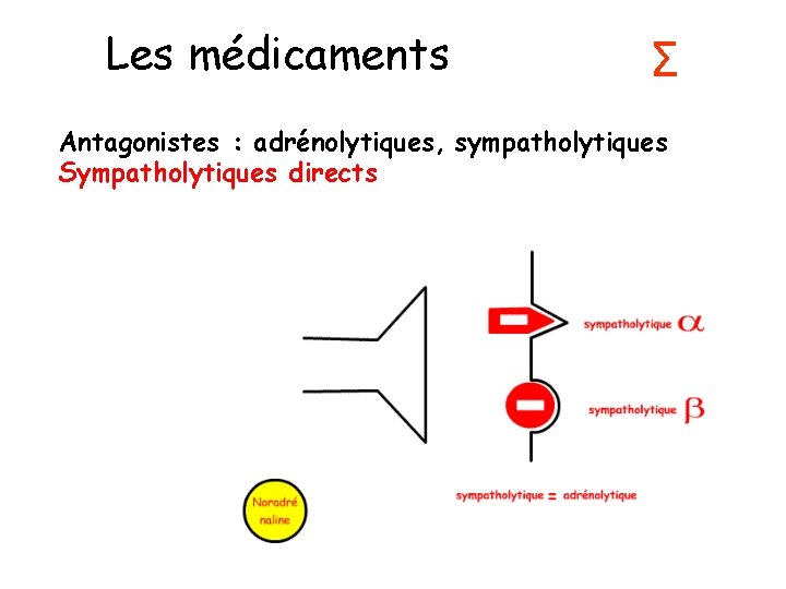 Les médicaments Σ Antagonistes : adrénolytiques, sympatholytiques Sympatholytiques directs 