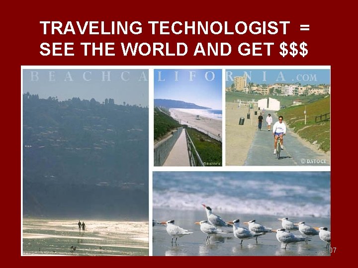 TRAVELING TECHNOLOGIST = SEE THE WORLD AND GET $$$ 107 