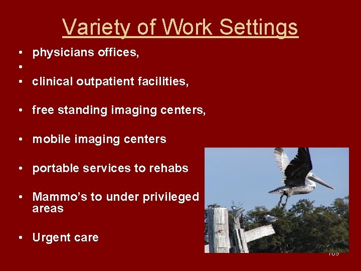 Variety of Work Settings • physicians offices, • • clinical outpatient facilities, • free