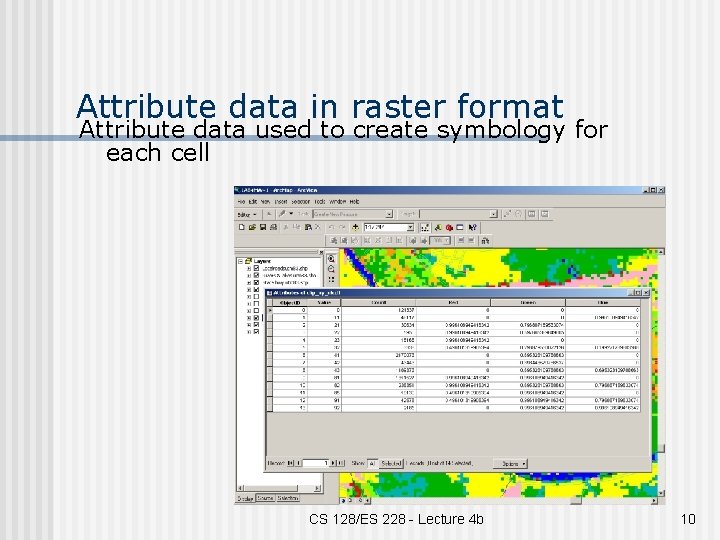 Attribute data in raster format Attribute data used to create symbology for each cell