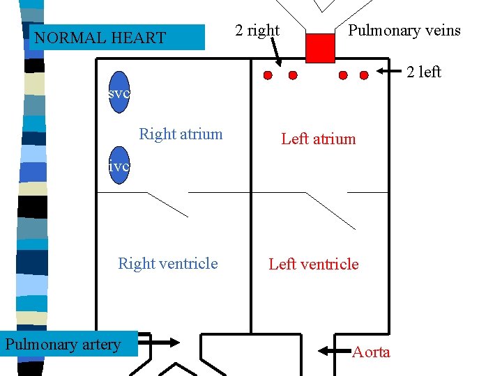 Congenital Heart Disease Cheston M Berlin Jr M