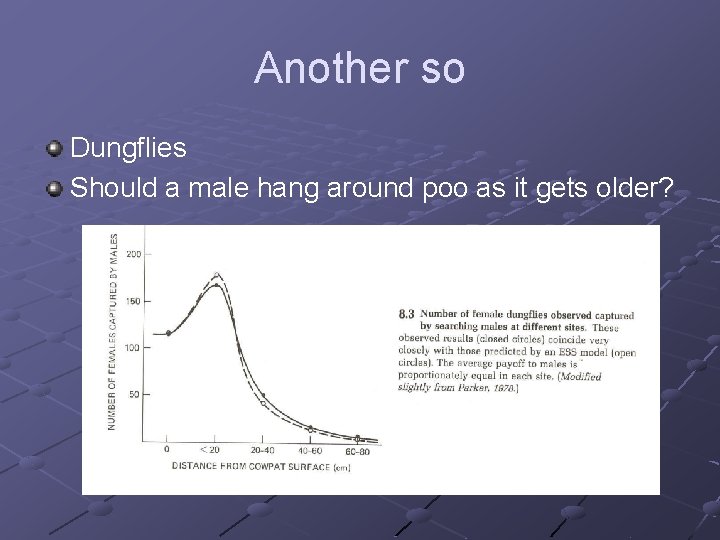 Another so Dungflies Should a male hang around poo as it gets older? 