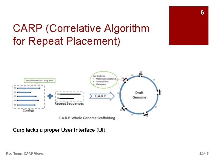6 CARP (Correlative Algorithm for Repeat Placement) Carp lacks a proper User Interface (UI)