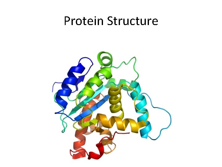 Translation and Protein Structure Edward Terrell 619 Proteins