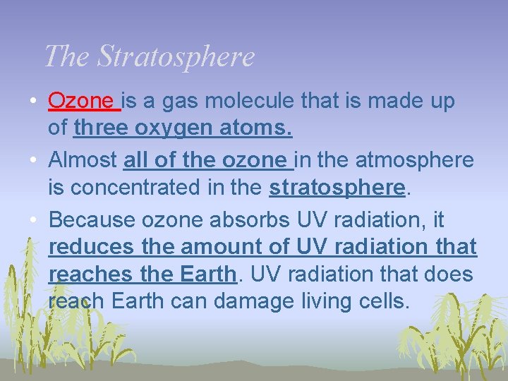 The Stratosphere • Ozone is a gas molecule that is made up of three