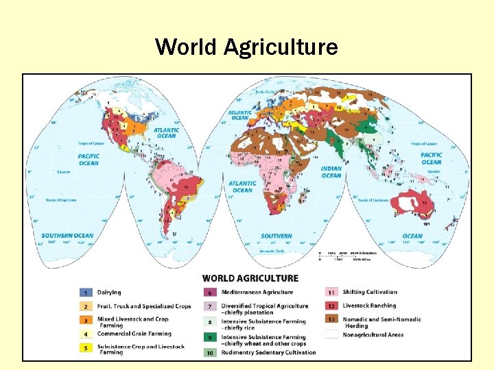 World Agriculture 