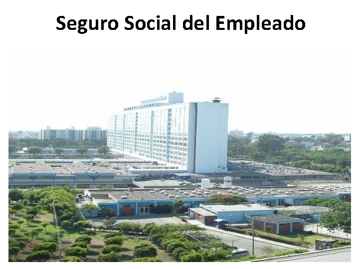 Seguro Social del Empleado 