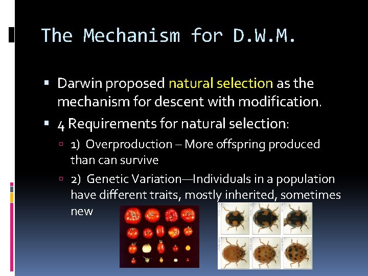 The Mechanism for D. W. M. Darwin proposed natural selection as the mechanism for