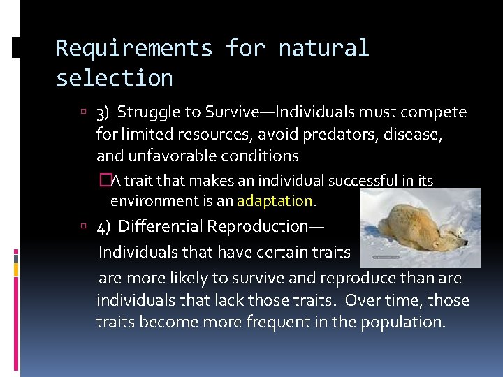 Requirements for natural selection 3) Struggle to Survive—Individuals must compete for limited resources, avoid