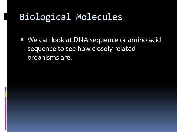 Biological Molecules We can look at DNA sequence or amino acid sequence to see