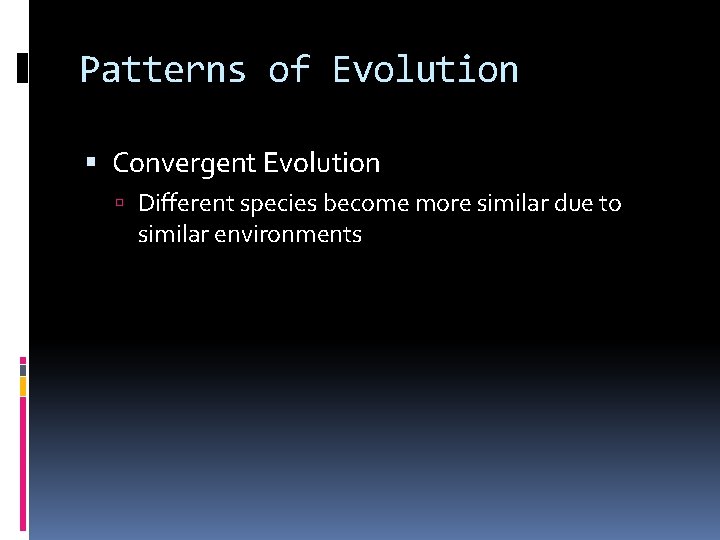 Patterns of Evolution Convergent Evolution Different species become more similar due to similar environments