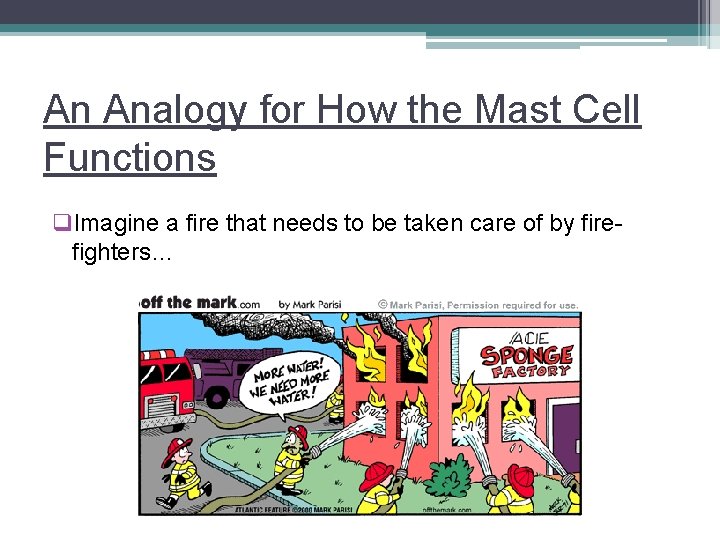 An Analogy for How the Mast Cell Functions q. Imagine a fire that needs