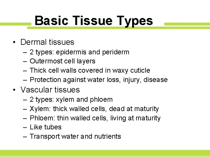 Basic Tissue Types • Dermal tissues – – 2 types: epidermis and periderm Outermost