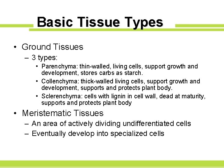 Basic Tissue Types • Ground Tissues – 3 types: • Parenchyma: thin-walled, living cells,