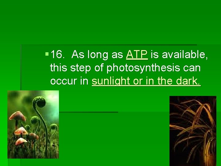 § 16. As long as ATP is available, this step of photosynthesis can occur