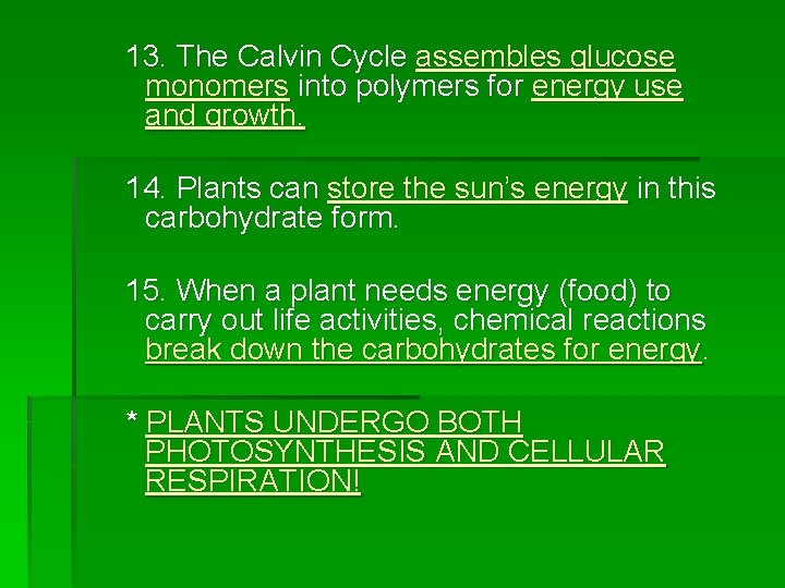 13. The Calvin Cycle assembles glucose monomers into polymers for energy use and growth.