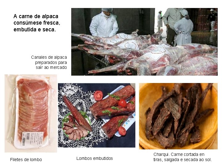 A carne de alpaca consúmese fresca, embutida e seca. Canales de alpaca preparados para