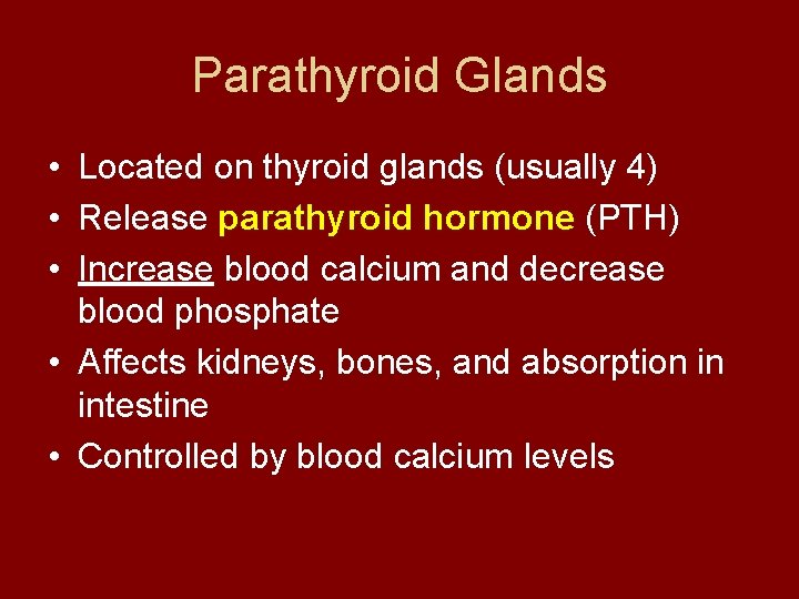 Parathyroid Glands • Located on thyroid glands (usually 4) • Release parathyroid hormone (PTH)