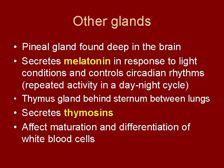 Other glands • Pineal gland found deep in the brain • Secretes melatonin in