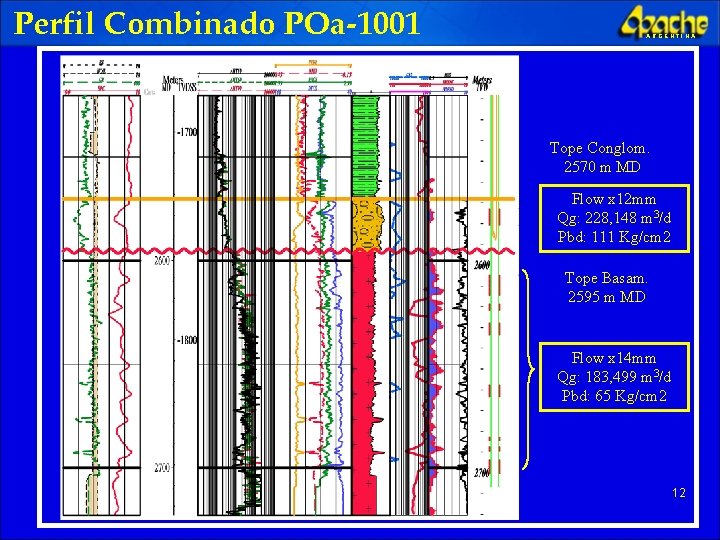 Perfil Combinado POa-1001 ARGENTINA Tope Conglom. 2570 m MD Flow x 12 mm Qg: