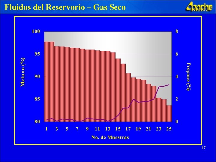 Fluidos del Reservorio – Gas Seco ARGENTINA 17 