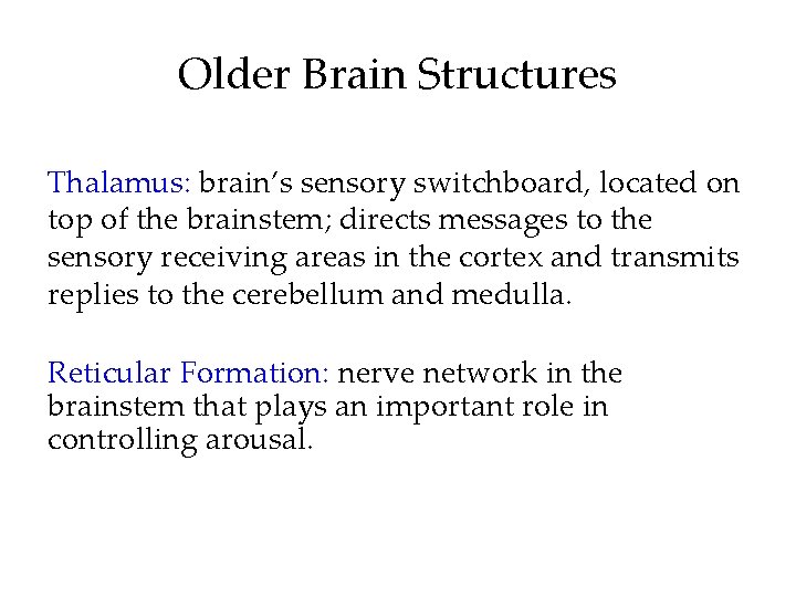 Older Brain Structures Thalamus: brain’s sensory switchboard, located on top of the brainstem; directs