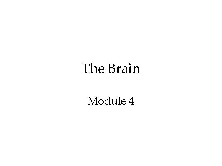 The Brain Module 4 