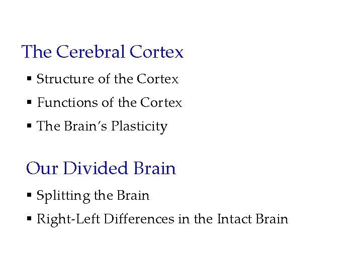 The Cerebral Cortex § Structure of the Cortex § Functions of the Cortex §