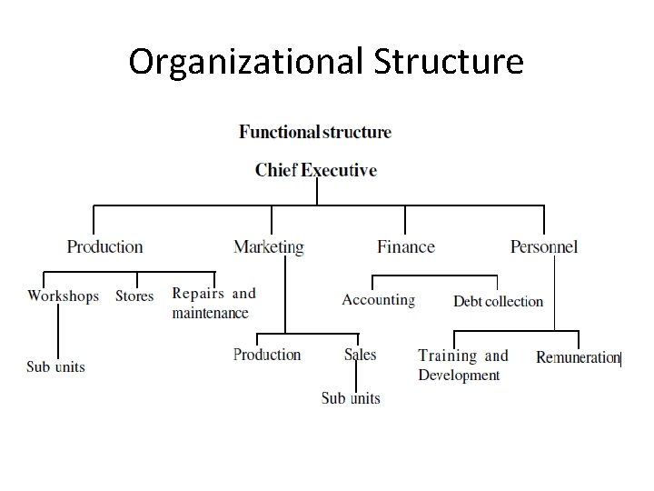 Organizational Structure 
