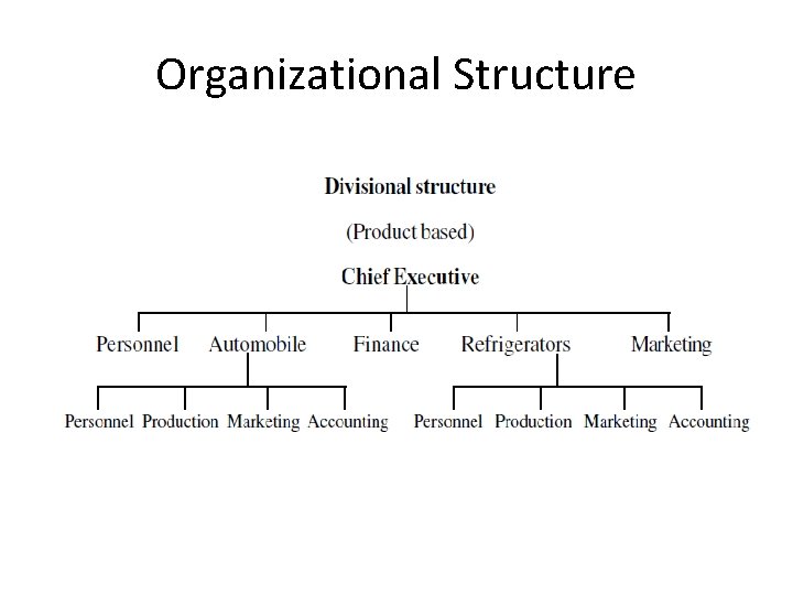Organizational Structure 