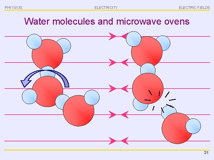 PHY 1013 S ELECTRICITY ELECTRIC FIELDS Water molecules and microwave ovens 31 