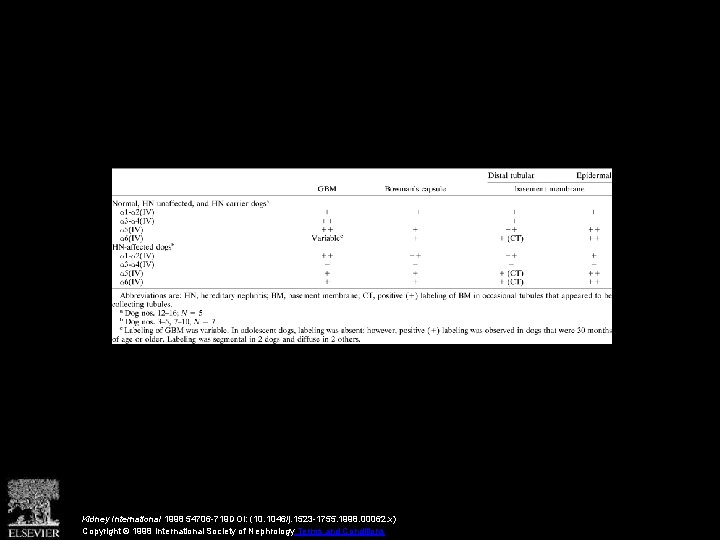 Kidney International 1998 54706 -719 DOI: (10. 1046/j. 1523 -1755. 1998. 00062. x) Copyright