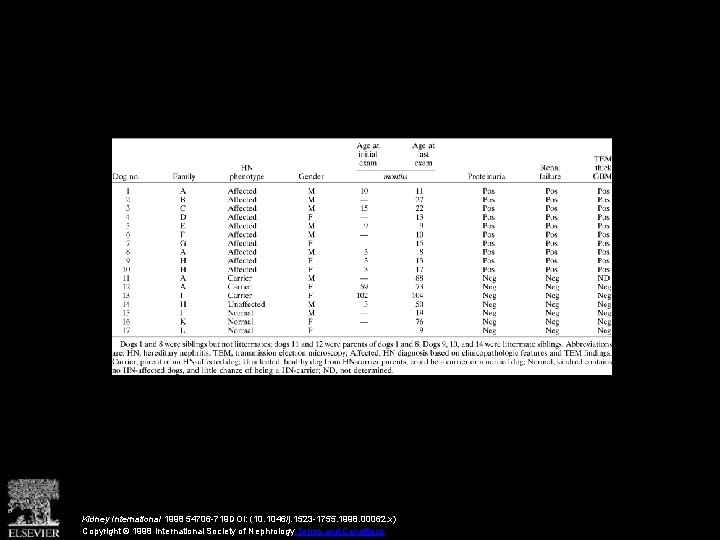 Kidney International 1998 54706 -719 DOI: (10. 1046/j. 1523 -1755. 1998. 00062. x) Copyright