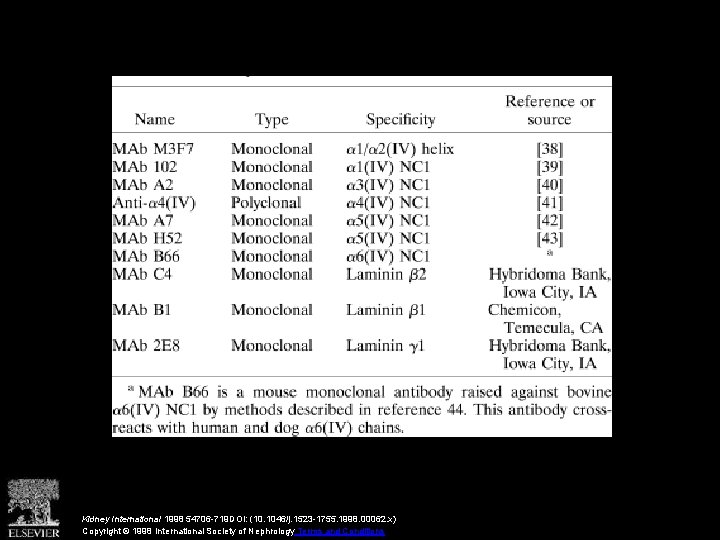 Kidney International 1998 54706 -719 DOI: (10. 1046/j. 1523 -1755. 1998. 00062. x) Copyright