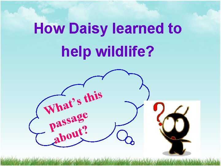 How Daisy learned to help wildlife? s i h t s ’ t a