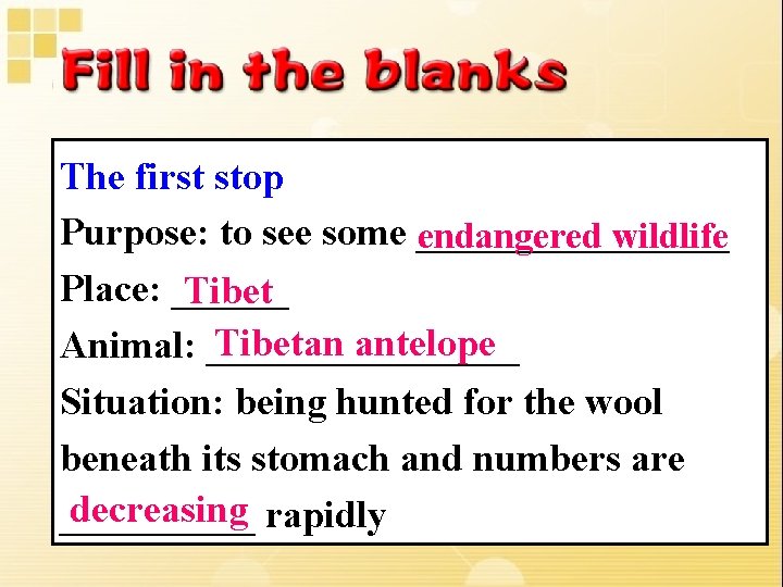 The first stop Purpose: to see some ________ endangered wildlife Place: ______ Tibetan antelope