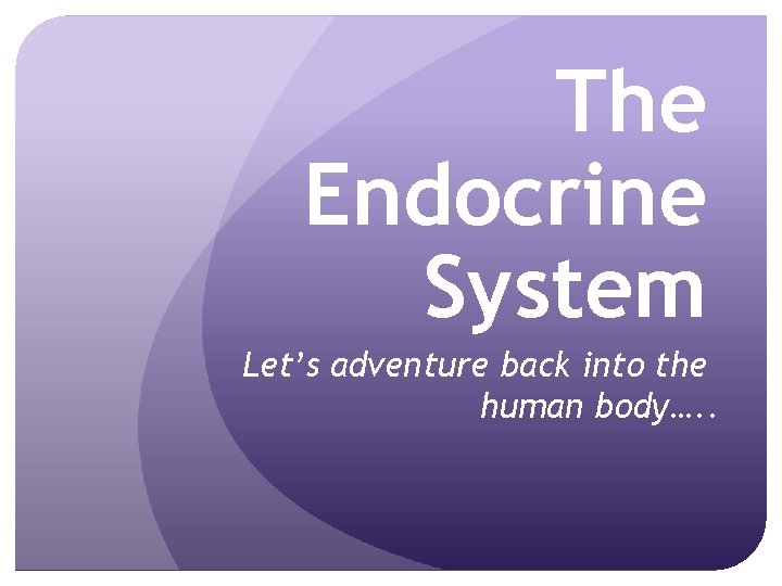 The Endocrine System Let’s adventure back into the human body…. . 