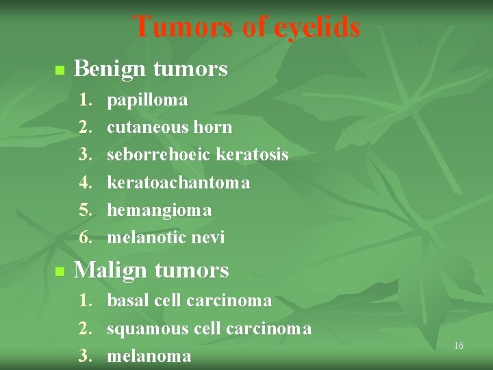 Tumors of eyelids n Benign tumors 1. 2. 3. 4. 5. 6. n papilloma