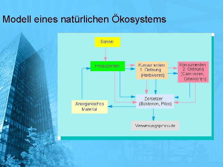 Modell eines natürlichen Ökosystems 