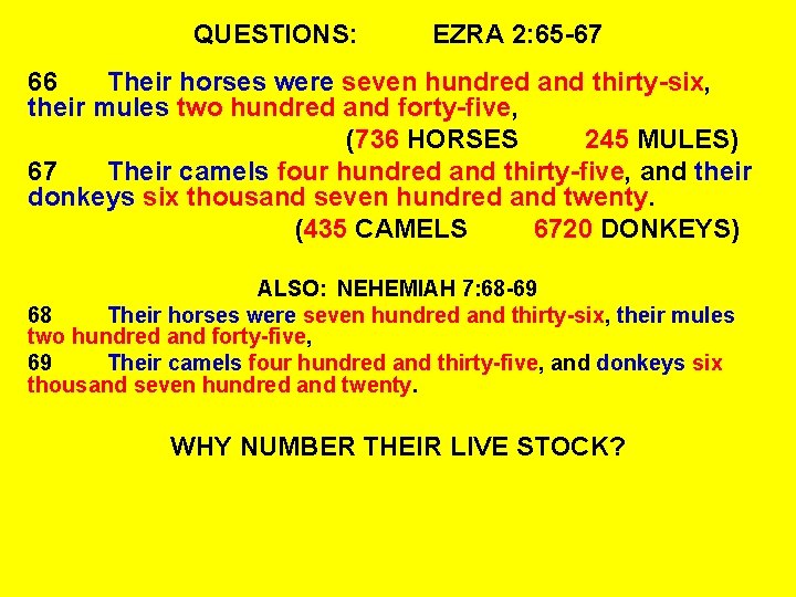 QUESTIONS: EZRA 2: 65 -67 66 Their horses were seven hundred and thirty-six, their