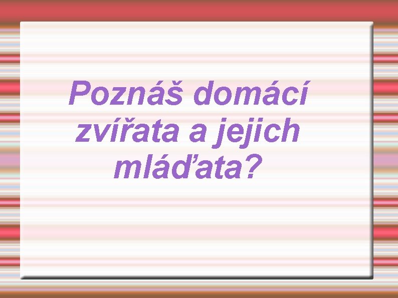 Poznáš domácí zvířata a jejich mláďata? 