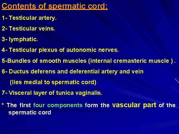 Contents of spermatic cord: 1 - Testicular artery. 2 - Testicular veins. 3 -