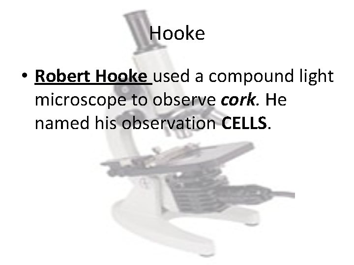Hooke • Robert Hooke used a compound light microscope to observe cork. He named