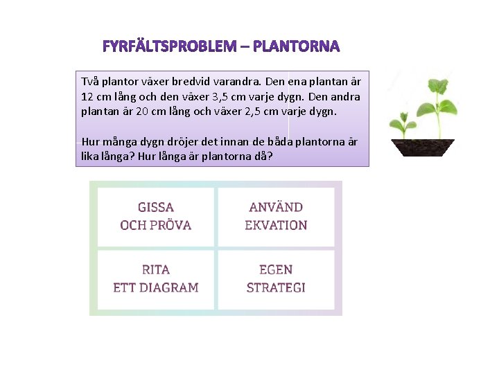 Två plantor växer bredvid varandra. Den ena plantan är 12 cm lång och den