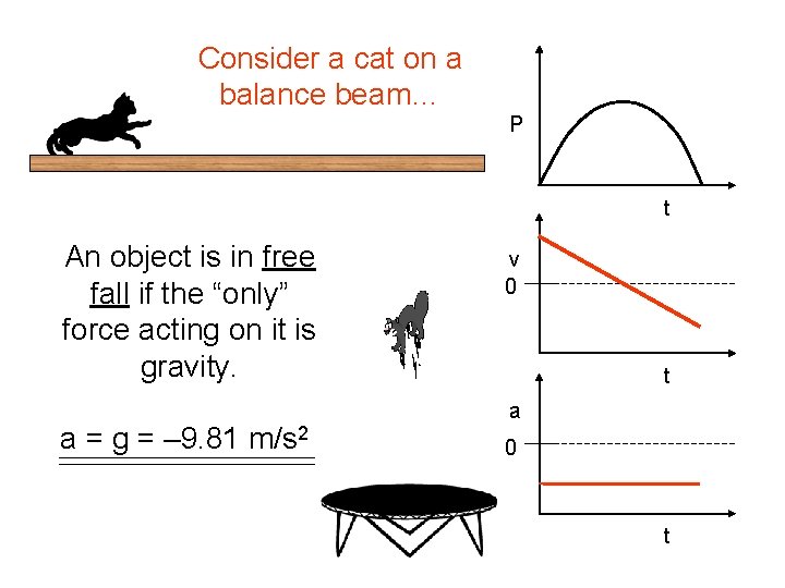 Consider a cat on a balance beam… P t An object is in free