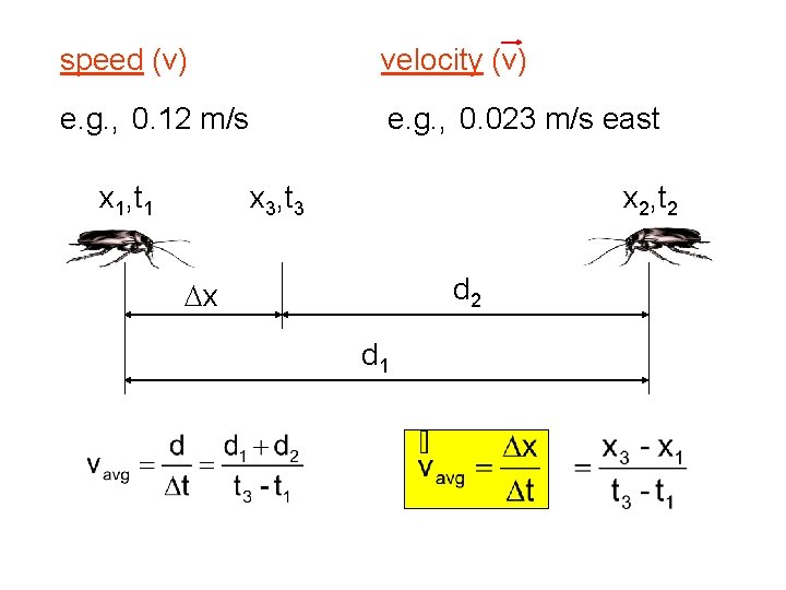 speed (v) velocity (v) e. g. , 0. 12 m/s e. g. , 0.