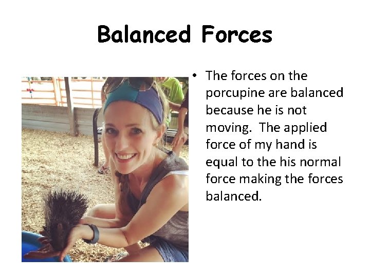 Balanced Forces • The forces on the porcupine are balanced because he is not