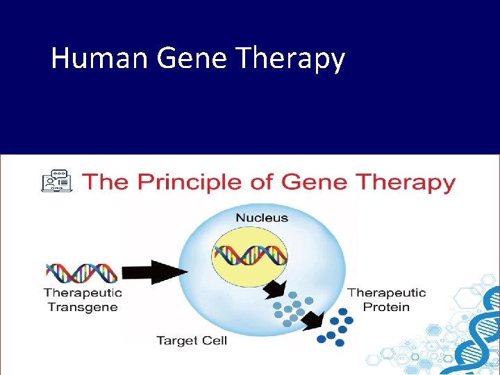 Human Gene Therapy 