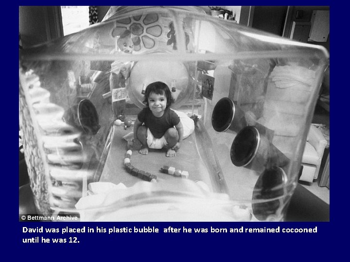 David was placed in his plastic bubble after he was born and remained cocooned