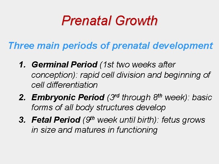 Prenatal Growth Three main periods of prenatal development 1. Germinal Period (1 st two